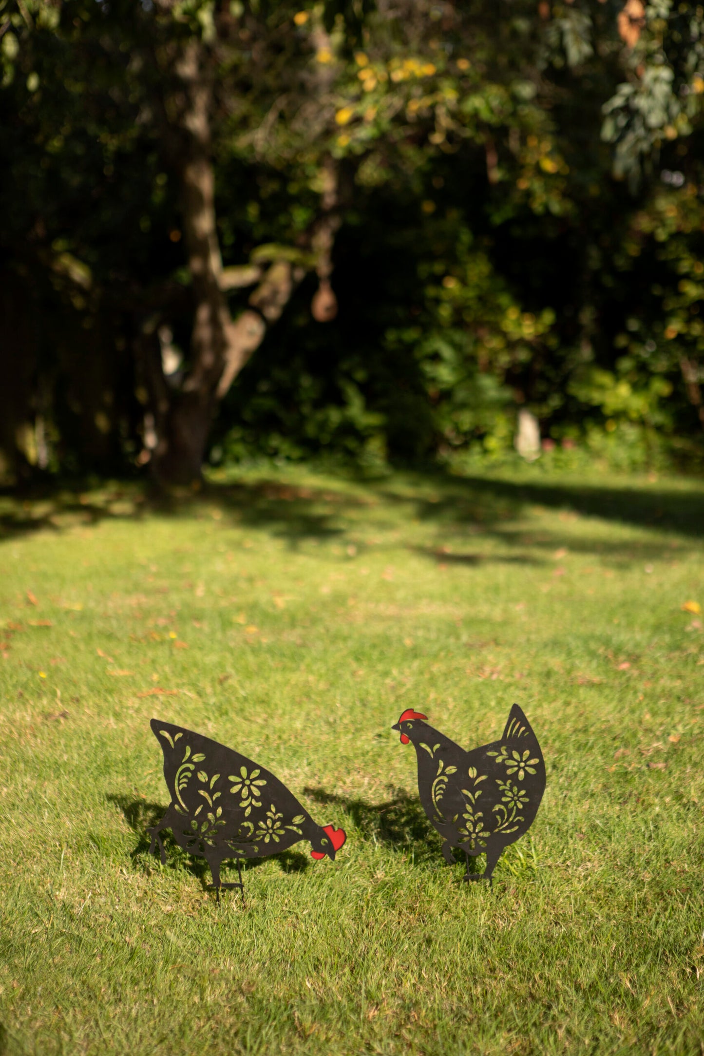 Black Hens - Set of Two