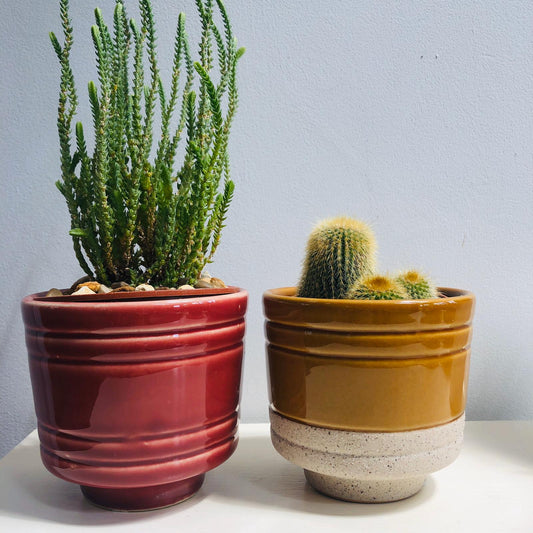 Glazed Stoneware Planters - ad&i